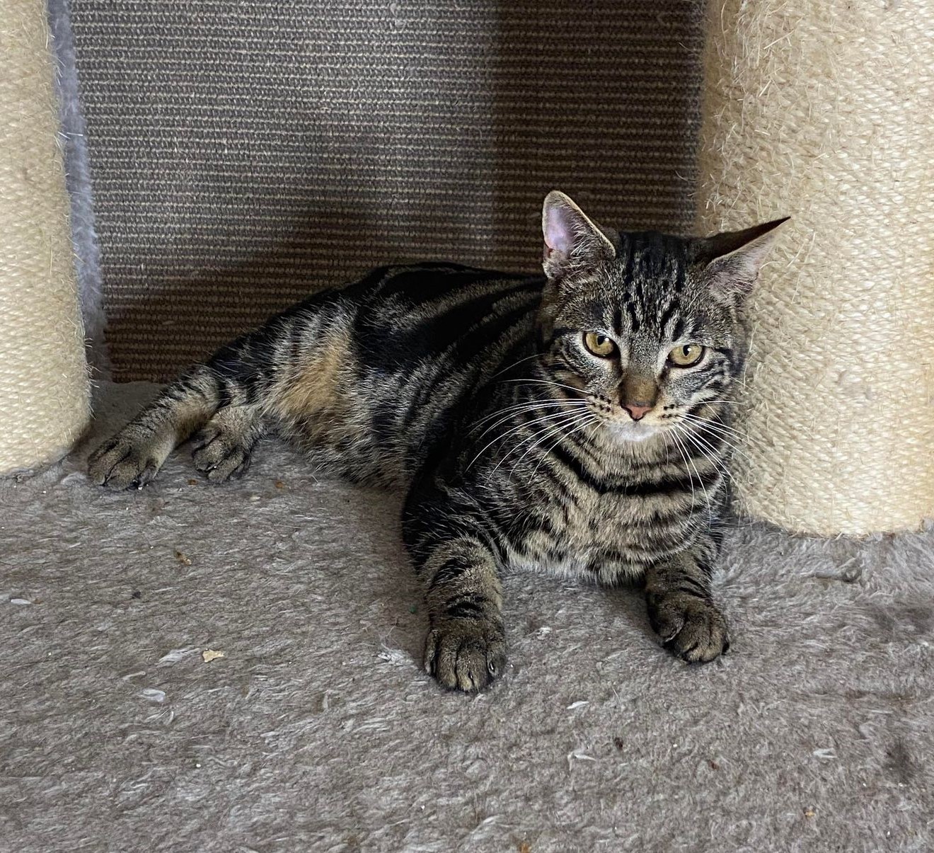 TEACH - M - 01/06/2022 - Adopté en 03/2023