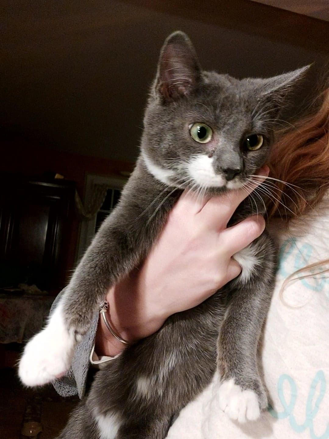 TENESSEE - M - Né le 20/07/22 - Adopté en Janvier 2023