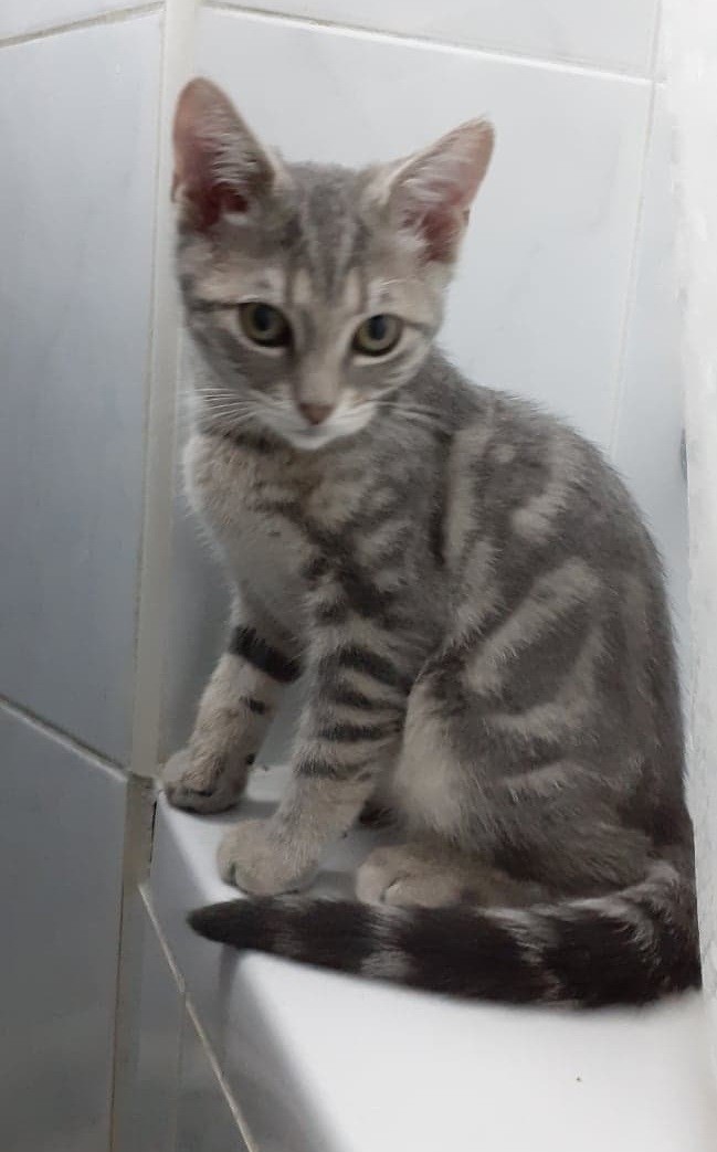 THEO  - M - Nés le 15/04/2022 - Adopté en Avril 2022