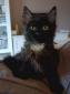UWETTE - F - Née le 25/07/2023  - Adoptée en 11/2023