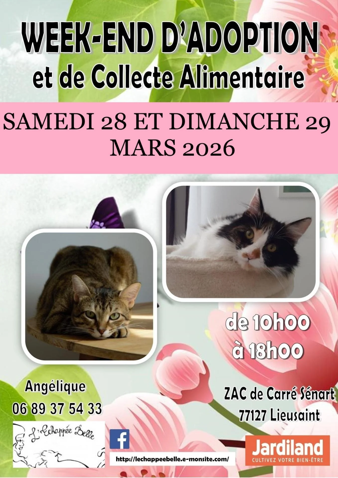 We 28 29 mars 26